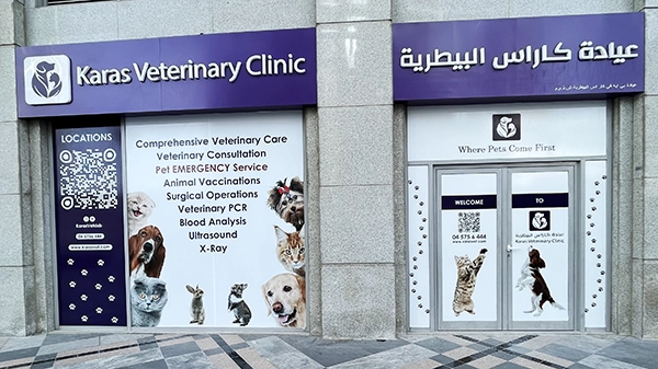Karas Veterinary Clinic Downtown